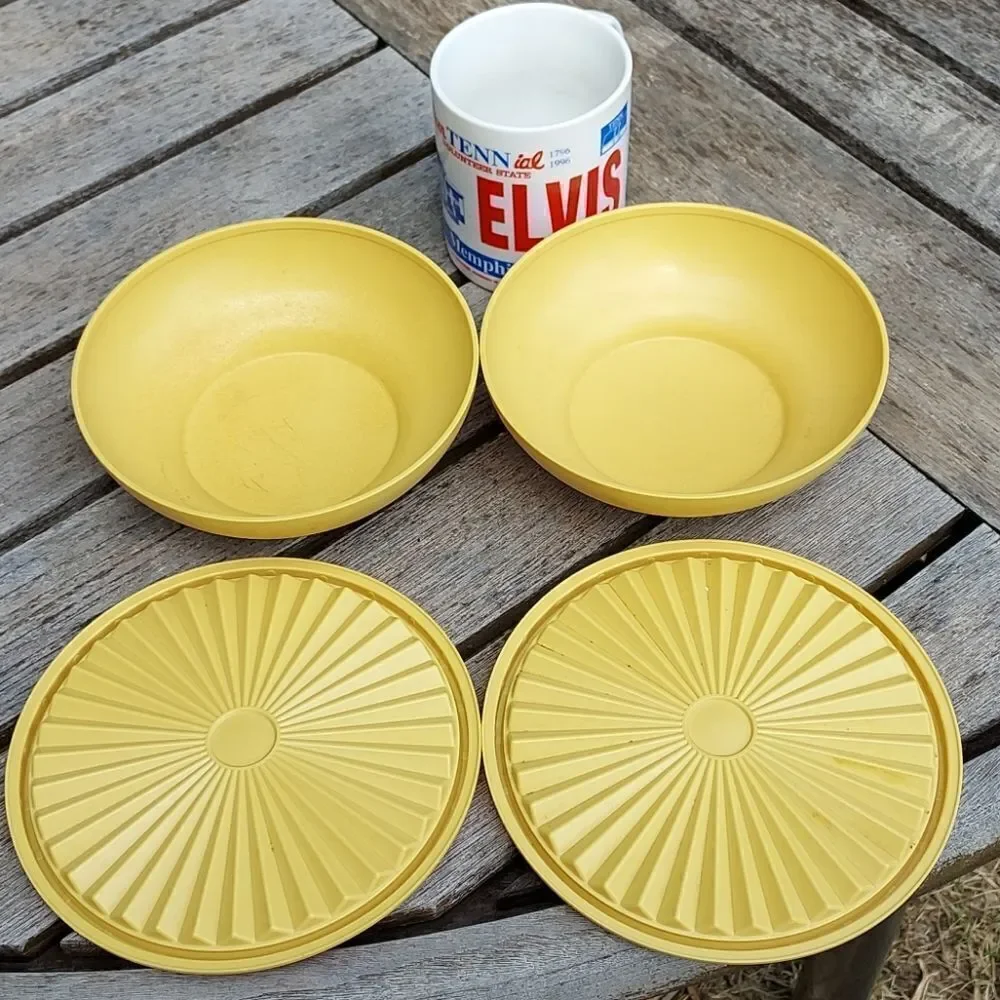 Vintage Pair Tupperware Bowls with lids